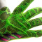 adidas Predator Pro Handschuh