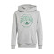 adidas Graphics voor Kinderen Sweatshirt