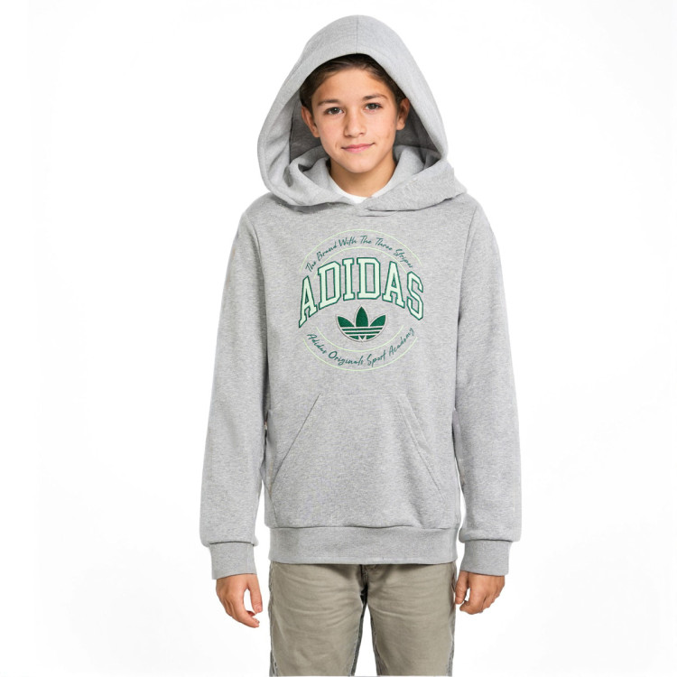 sudadera-adidas-graphics-nino-medium-grey-heather-0