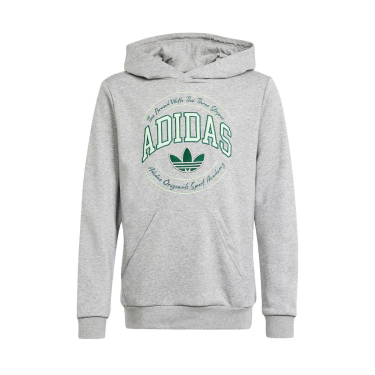 sudadera-adidas-graphics-nino-medium-grey-heather-1