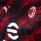 Puma AC Milan Pre-Match 2023-2024 Jersey