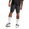 Puma AC Milan Fanswear 2023-2024 Shorts