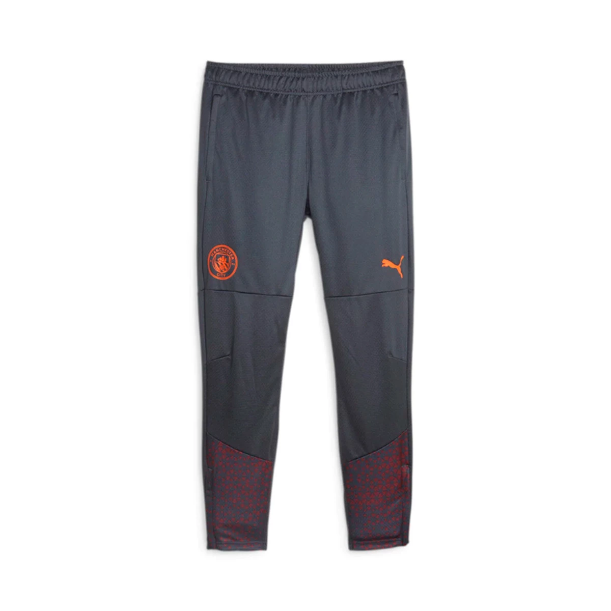 Long pants Puma Manchester City Training 2023 2024 Strong Gray