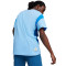 Dres Puma Manchester City Fanswear 2023-2024