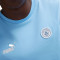 Puma Manchester City Fanswear 2023-2024 Jersey
