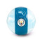 Puma Manchester City 2023-2024 Ball