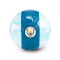 Bola Puma Manchester City 2024-2025