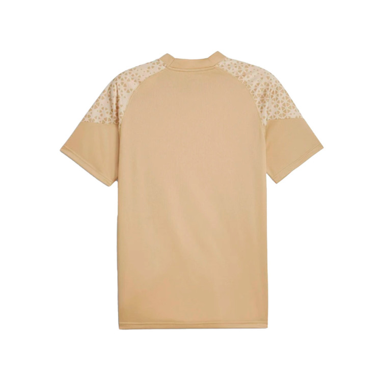 camiseta-puma-olympique-marsella-training-2023-2024-sand-dune-granola-1
