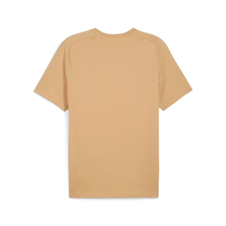 camiseta-puma-olympique-marsella-fanswear-2023-2024-sand-dune-dark-coal-1