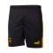 Puma Borussia Dortmund  Special Edition 2023-2024 Shorts