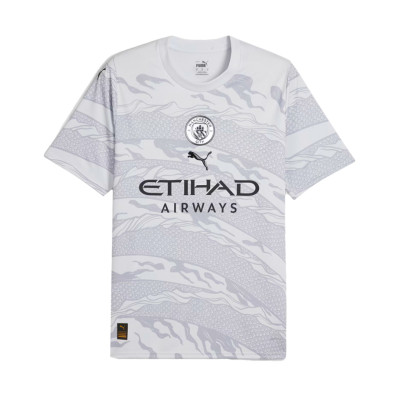Maillot Manchester City Fanswear 2023-2024