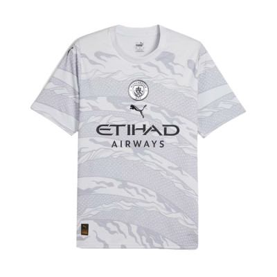 Manchester City Fanswear 2023-2024 Jersey