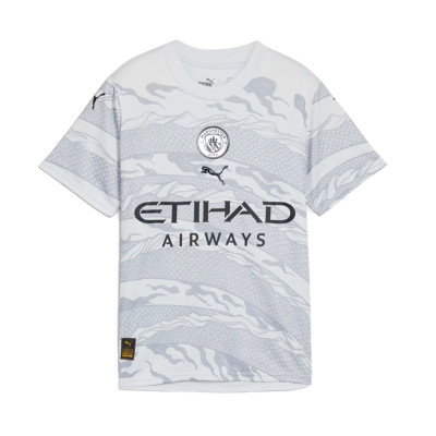 Dres Manchester City Fanswear 2023-2024 Niño