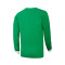 Camiseta COPA Panathinaikos FC 1971 Retro