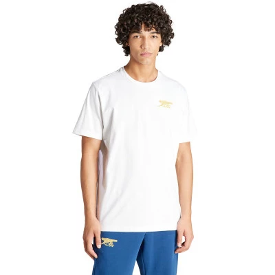 Arsenal FC Fanswear 2023-2024 T-Shirt