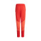 adidas Kids FC Bayern Training 2023-2024 Trousers