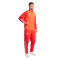 adidas FC Bayern Training 2023-2024 Trousers