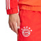 adidas FC Bayern Training 2023-2024 Trousers