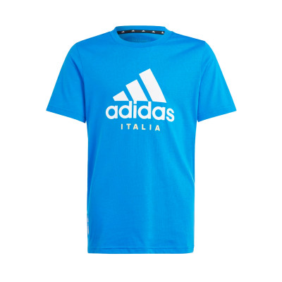 Koszulka Italia Fanswear Eurocopa 2024