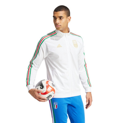 Italy Fanswear Euro 2024 Jacket