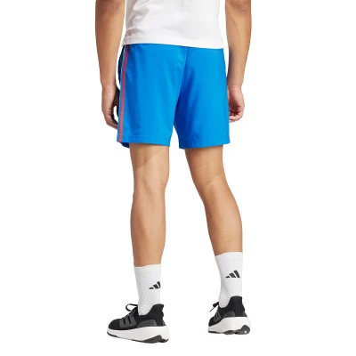 Italy Fanswear Euro 2024 Shorts