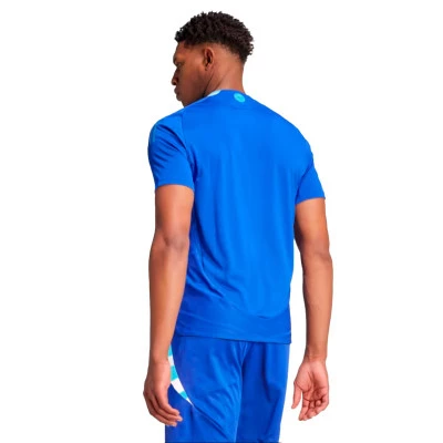 Jersey Argentina Segunda Equipación Authentic Copa América 2024