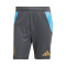 Kratke hlače adidas Argentina Training Copa América 2024 Niño
