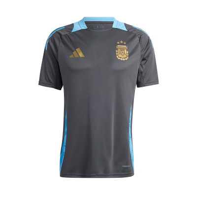 Argentina Training America Cup 2024 Jersey