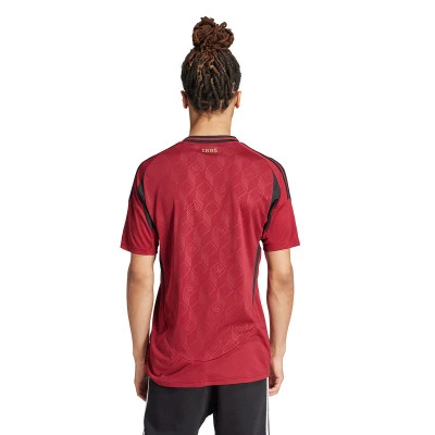 Belgium Home Jersey Euro 2024 Jersey