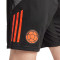 adidas Colombia Training Copa América 2024 Shorts