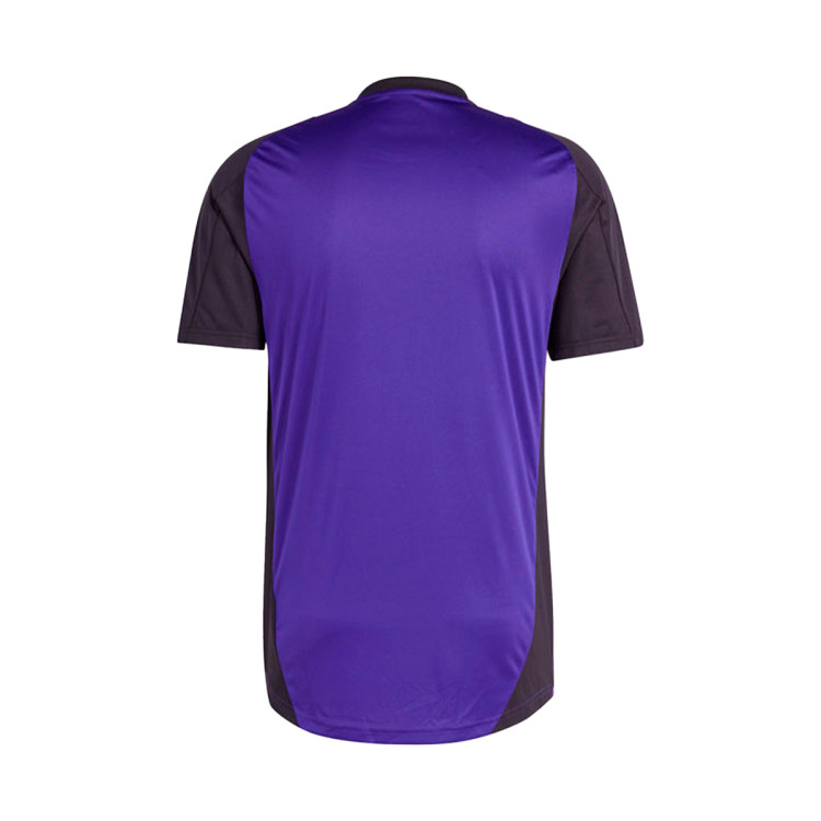 camiseta-adidas-alemania-training-eurocopa-2024-team-colleg-purple-1