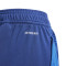 Pantaloni  adidas Italia Training Euro 2024 per bambini