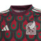 adidas Kids Mexico Home Jersey America Cup 2024 Jersey