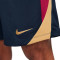 Pantalón corto Nike FC Barcelona Training 2023-2024