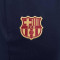 Dres Nike FC Barcelona Training 2023-2024