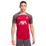 Liverpool FC Training 2023-2024-Gym Red-Anthracite-Wolf Grey