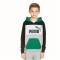 Sudadera Puma Essentials Block Niño