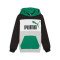 Sweatshirt Puma Essentials Block Criança