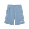 Puma Essentials + 9 Shorts