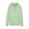 Puma Essentials + 2 Small Logo Sweatshirt