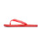 Puma Epic V2 Flip-flops