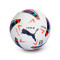 Bola Puma Orbita LaLiga 2023-2024 FIFA Quality Pro