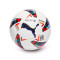 Ballon Puma Réplique LaLiga Inclusion Pack 2023-24