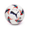 Lopta Puma Réplica LaLiga Inclusion Pack 2023-24