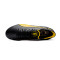 Scarpe Puma King Ultimate Pelé Edition FG/AG