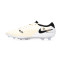 Zapatos de fútbol Nike Tiempo Legend 10 Elite AG-Pro
