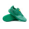 Nike Street Gato Futsal shoes