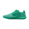 Nike Street Gato Futsal shoes
