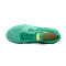 Nike Street Gato Futsal shoes
