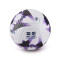 Ballon Nike Officiel Premier League Saison 2023-2024 3rd